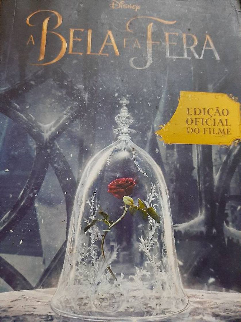 Libro A bela e a fera