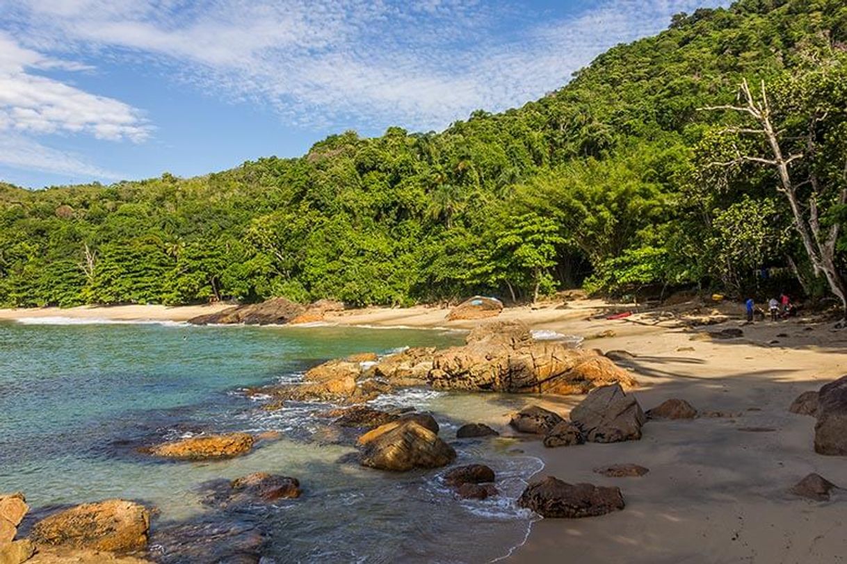 Lugar Trilha das 7 Praias