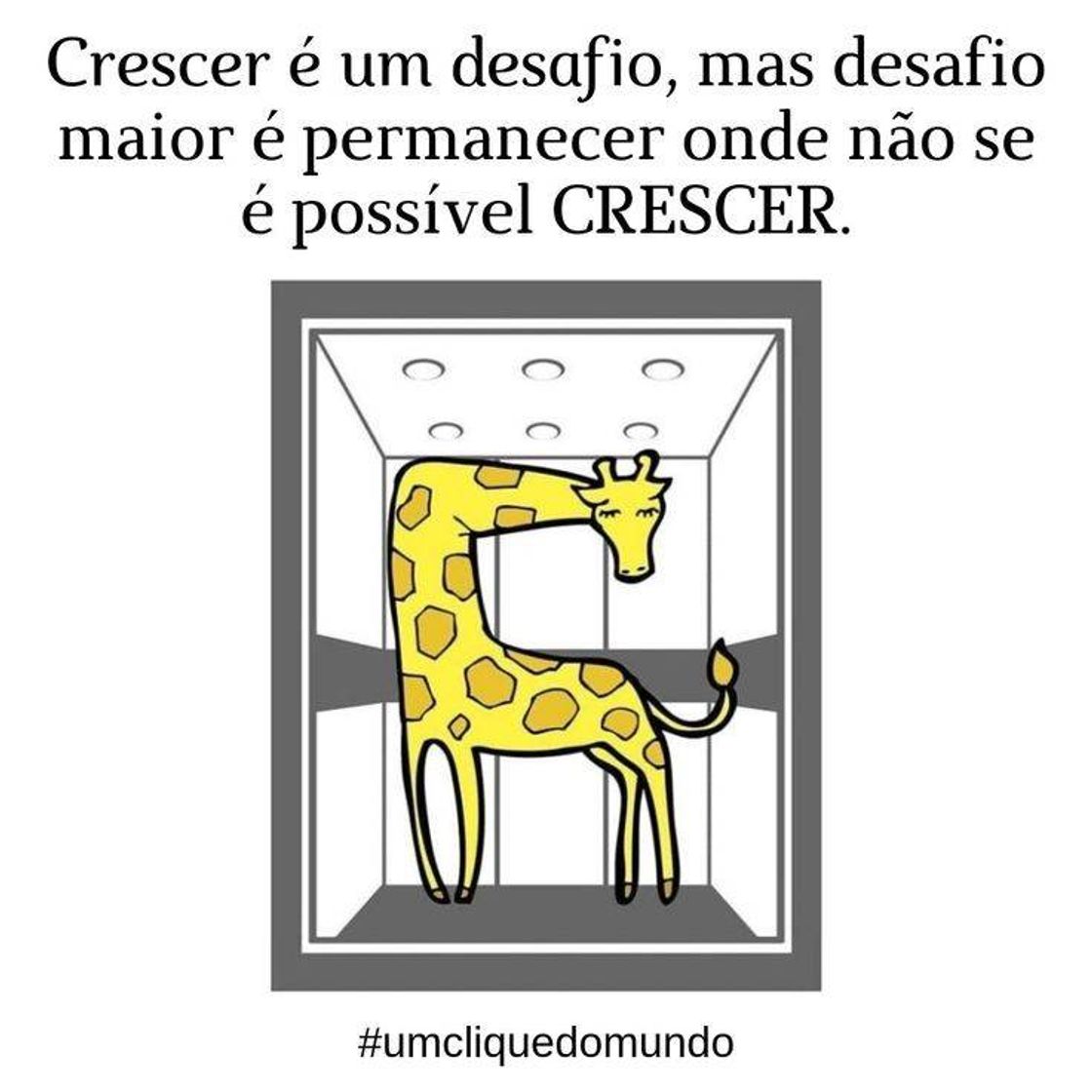 Fashion NUNCA deixa que alguém impeça o seu Crescimento!