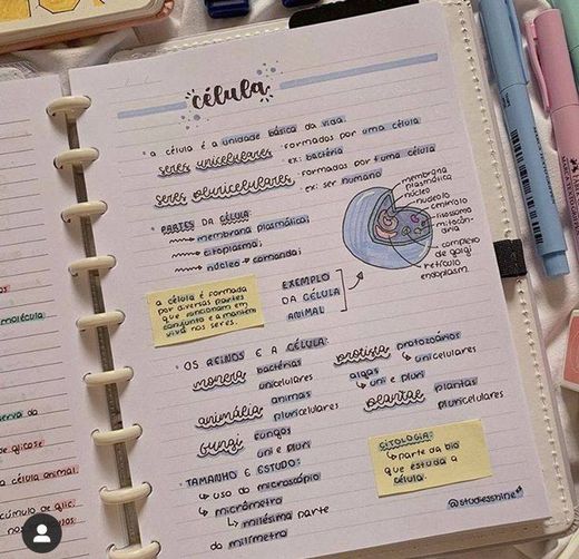 • eu amo um caderno organizado
