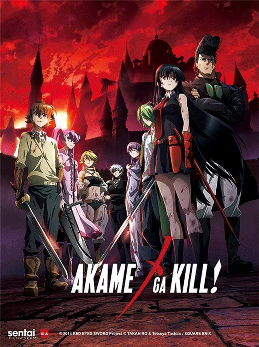 Serie Akame ga Kill!