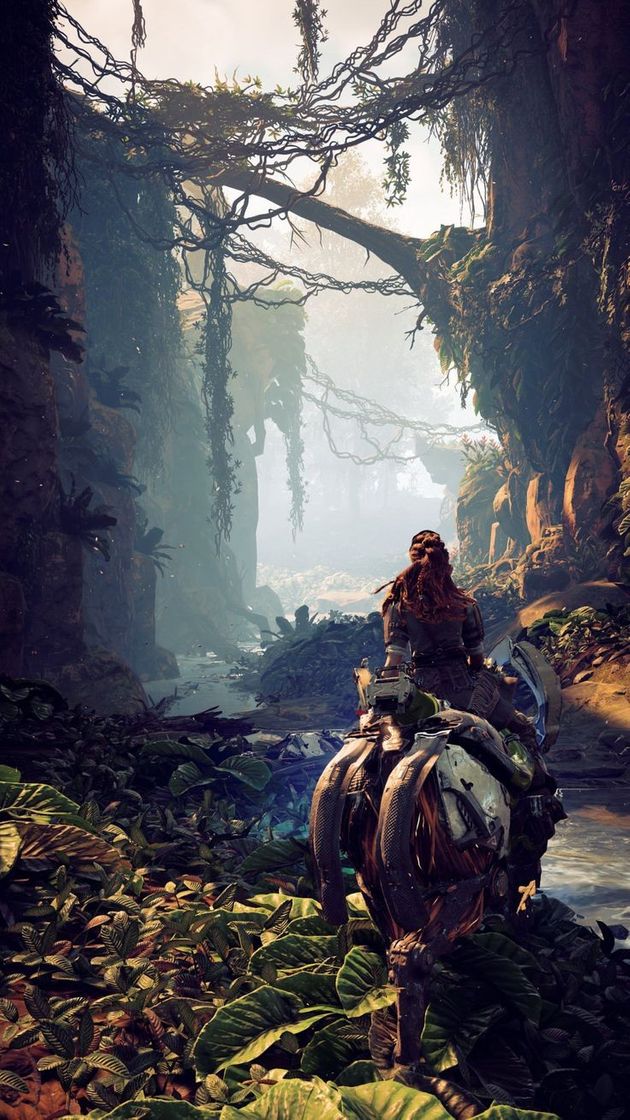 Videogames Horizon 