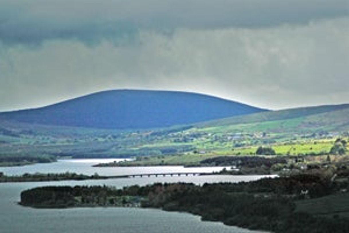 Place blessington