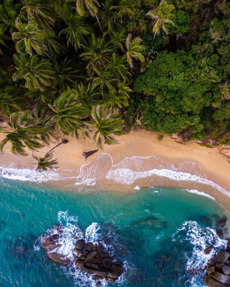 Lugar Tayrona National Park