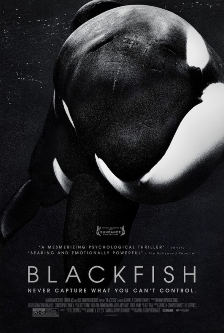 Películas Blackfish - Fúria Animal 