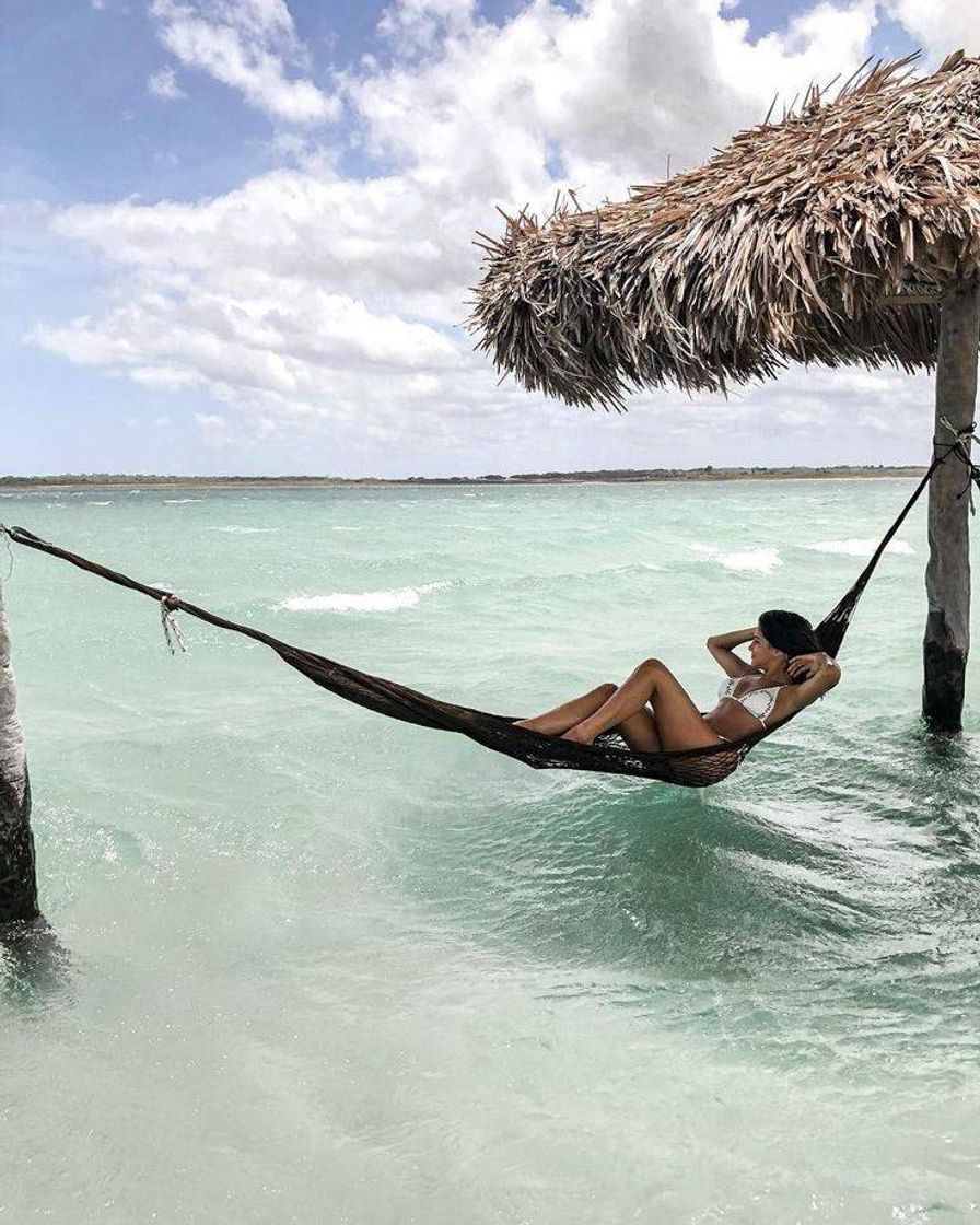 Social Jericoacoara CE