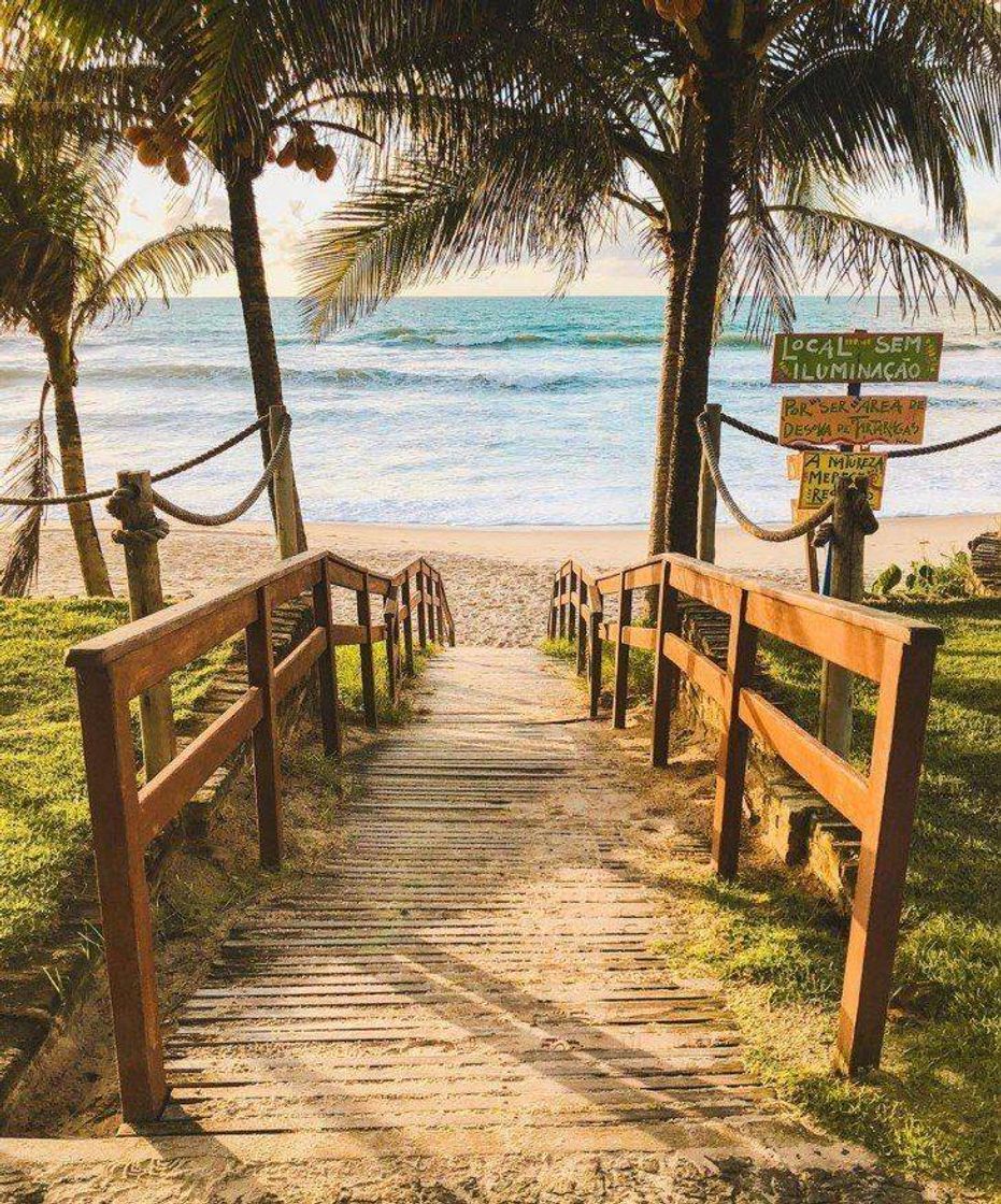 Social Porto de galinhas