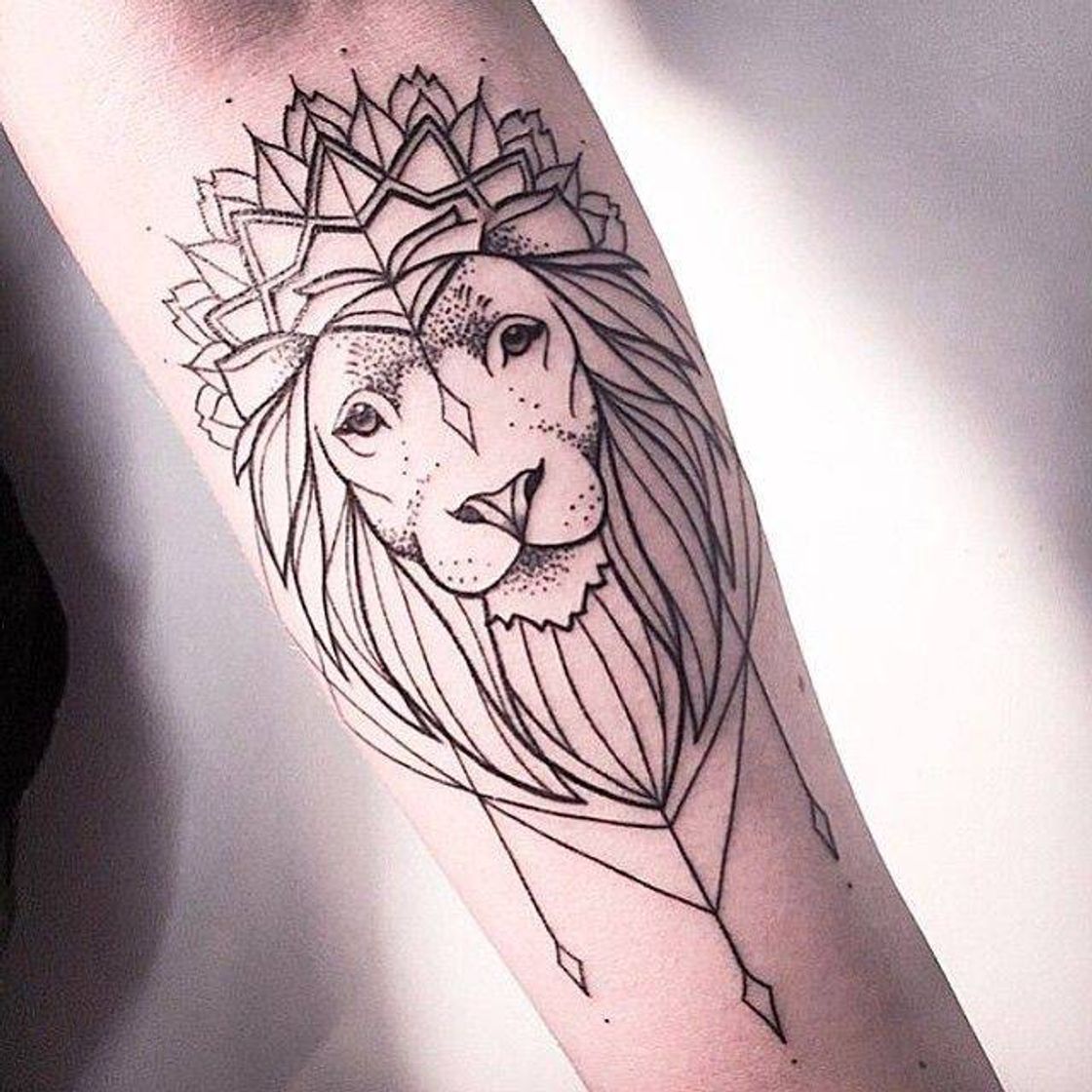 Fashion Tattos 🦁