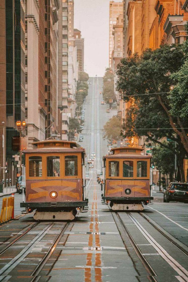 Moda San Francisco ❤