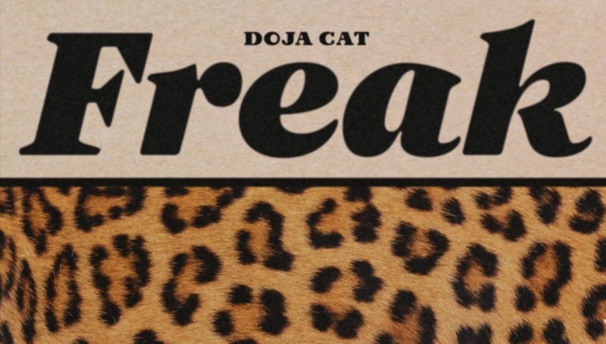 Moda Doja Cat - Freak