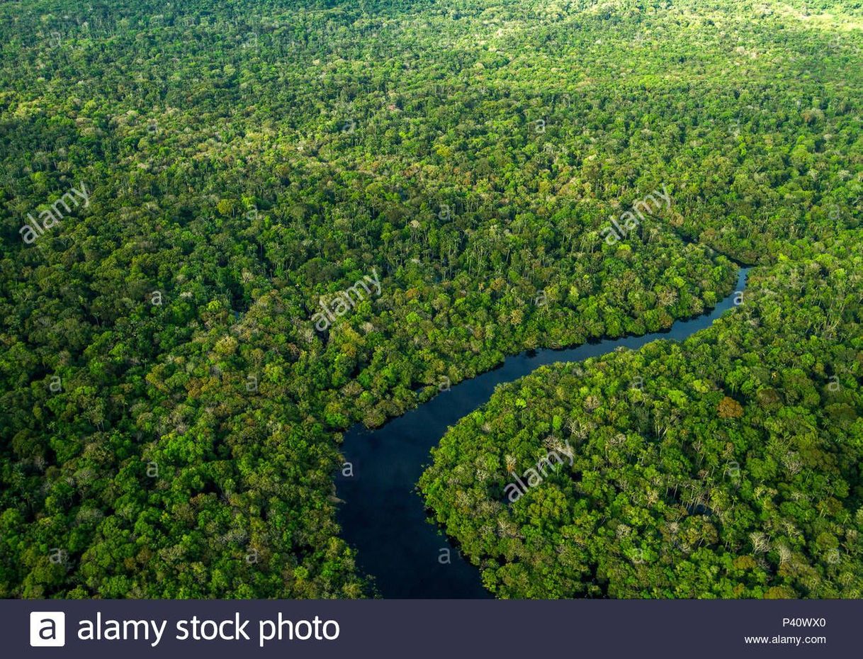 Lugar Amazonia