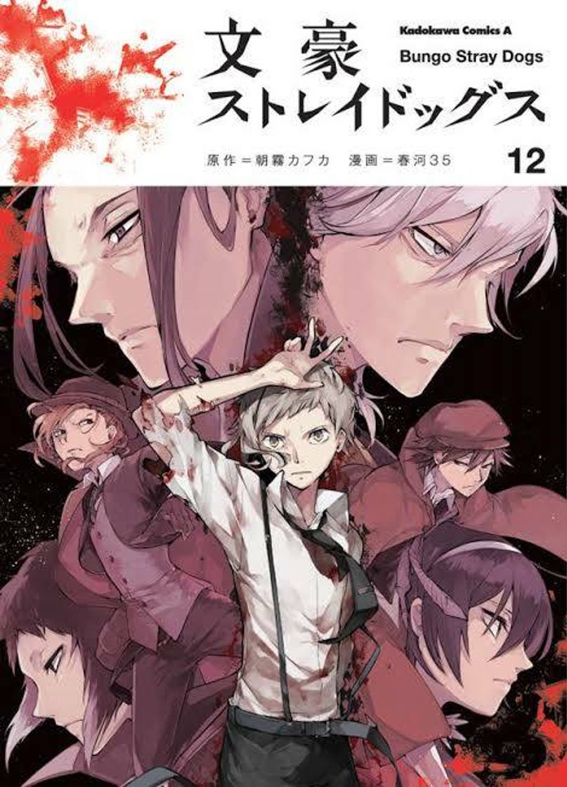 Serie Bungou Stray Dogs