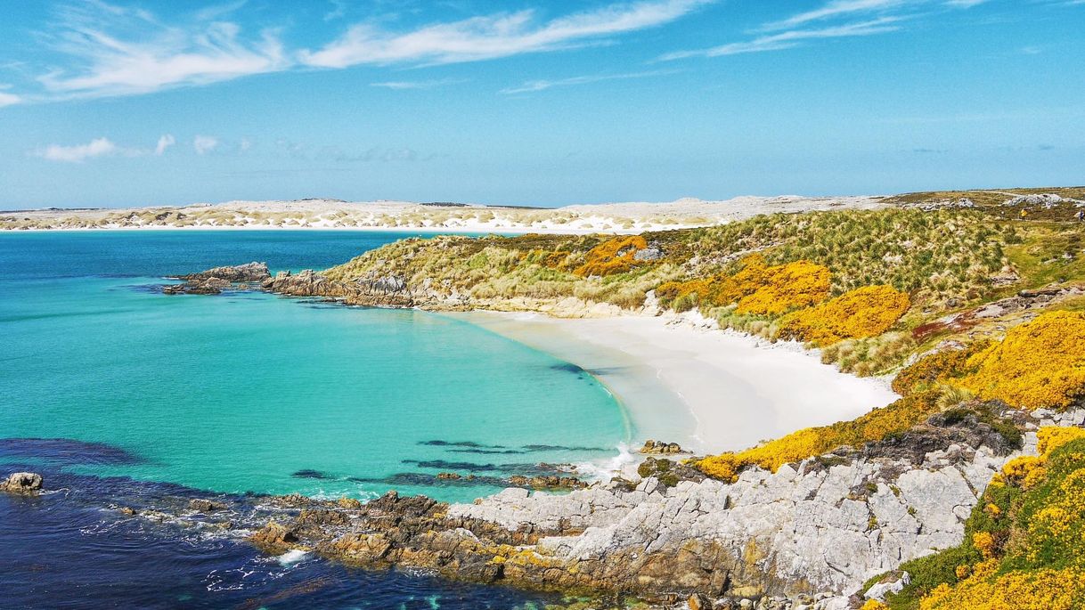 Lugar Ilhas Malvinas