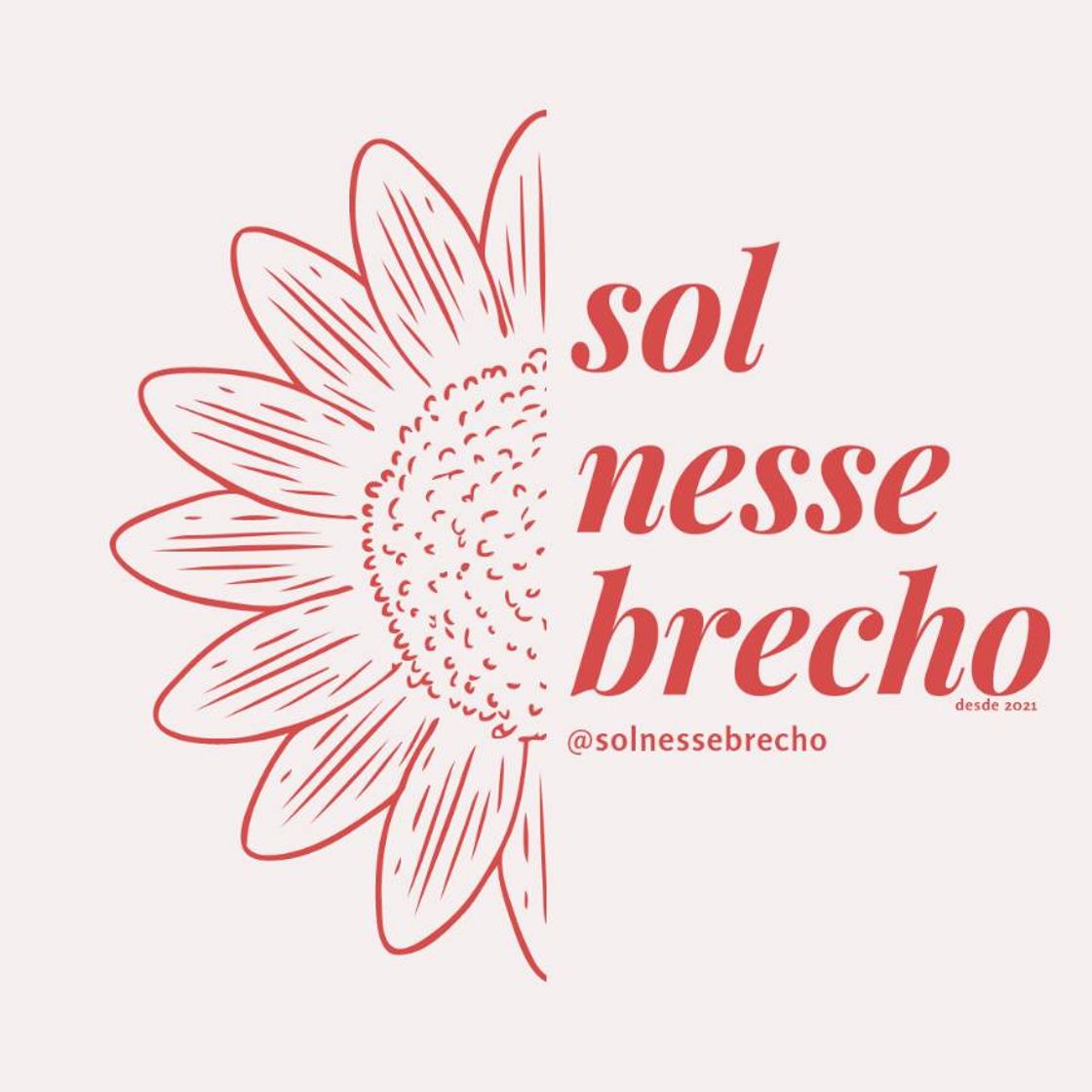 Social Sol Nesse Brechó