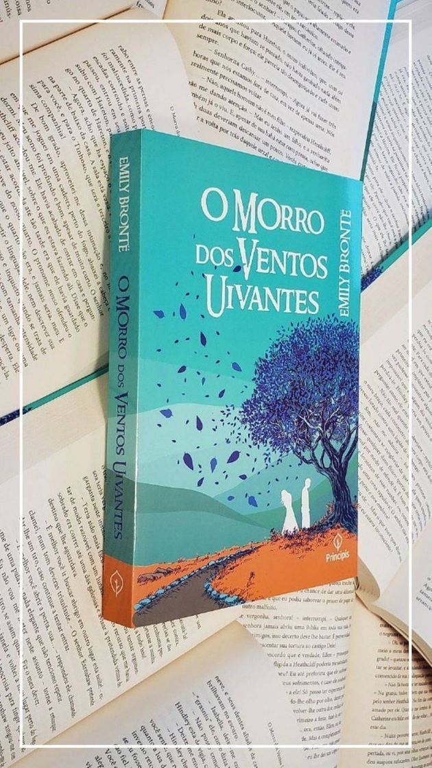 Book O Morro dos Ventos Uivantes