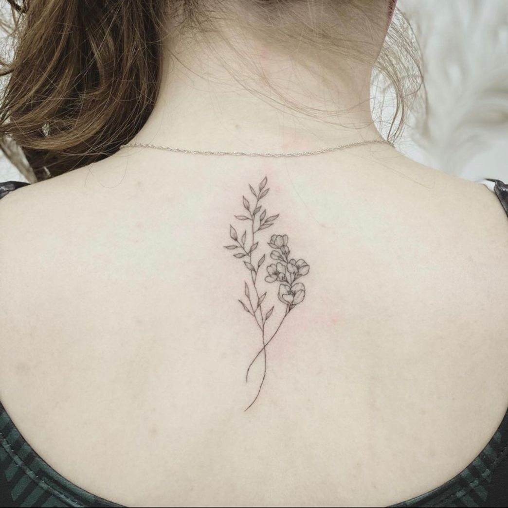 Social tatto delicadas