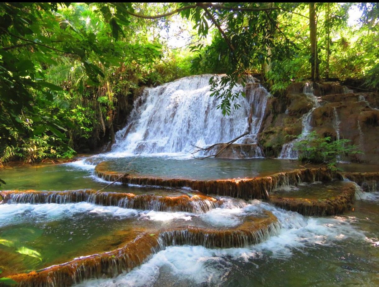 Fashion Cascata do Jabuti