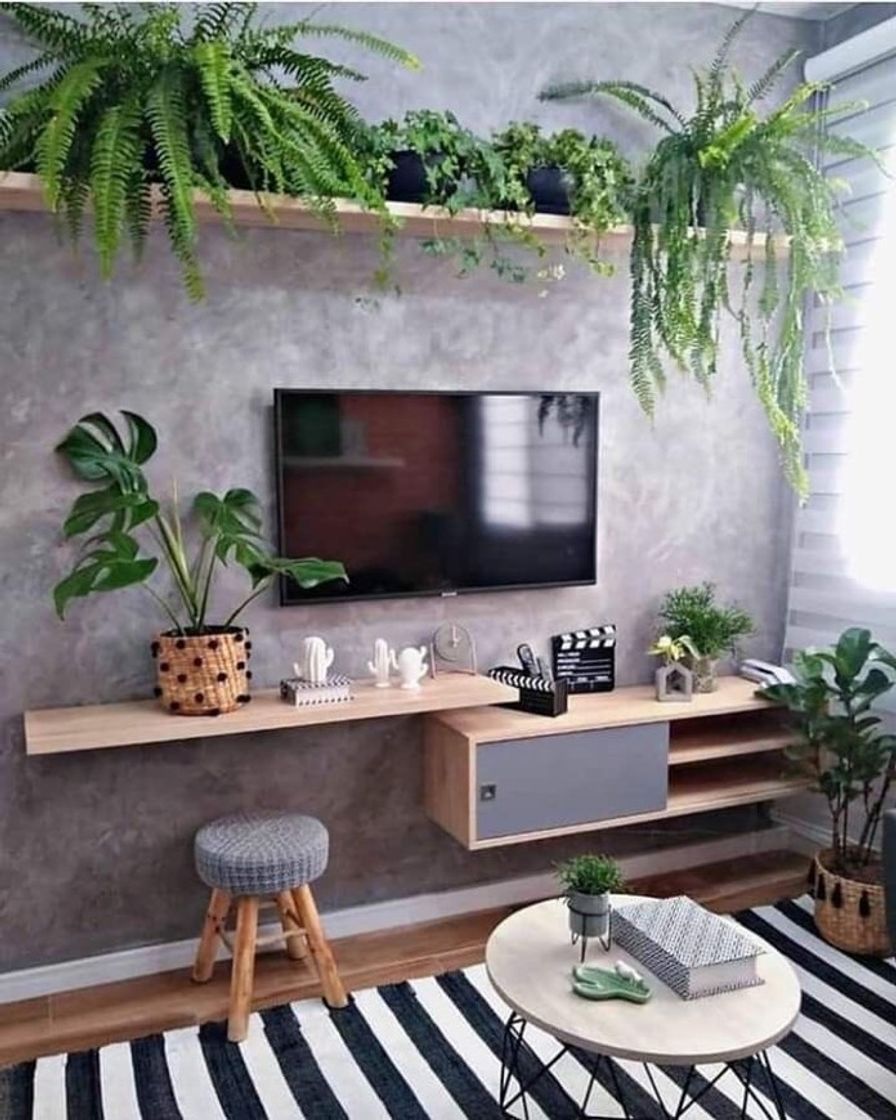 Fashion Sala com plantas 