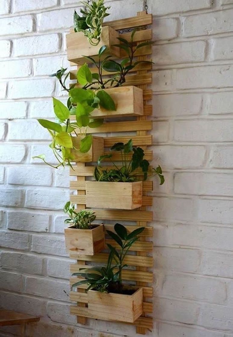 Fashion decor plantas