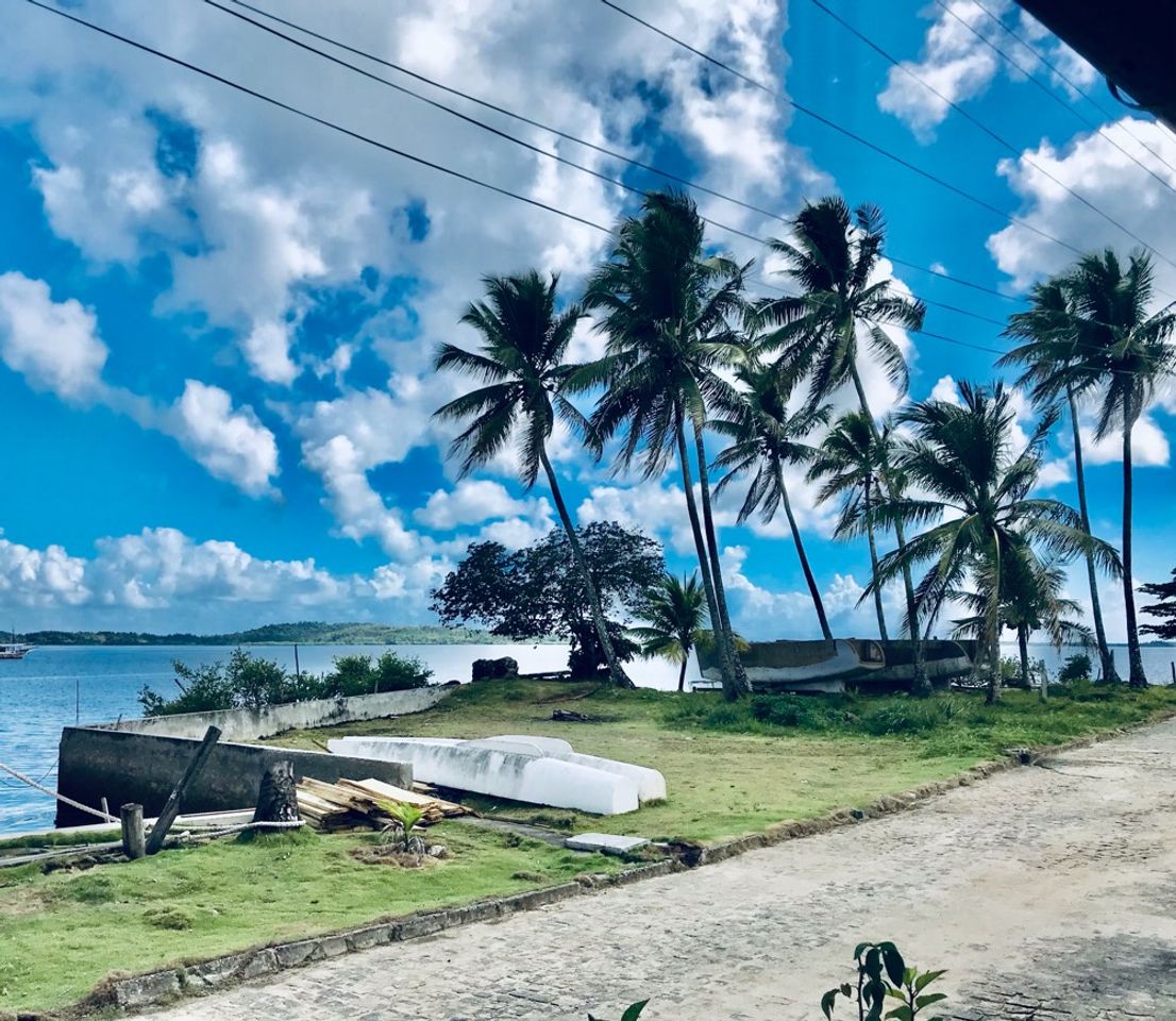 Lugar Taipús de fora