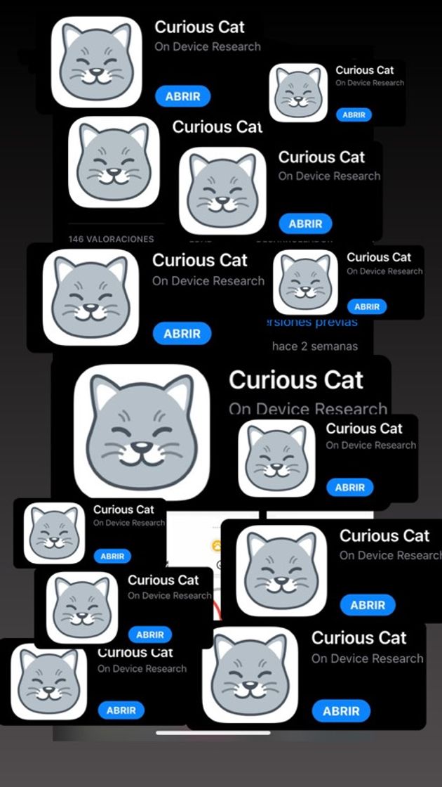 App Curious Cat: Money for Surveys