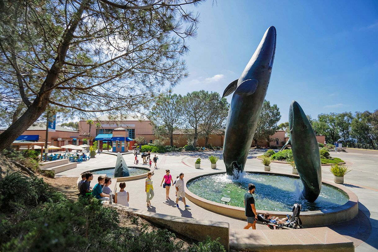 Lugar Birch Aquarium at Scripps