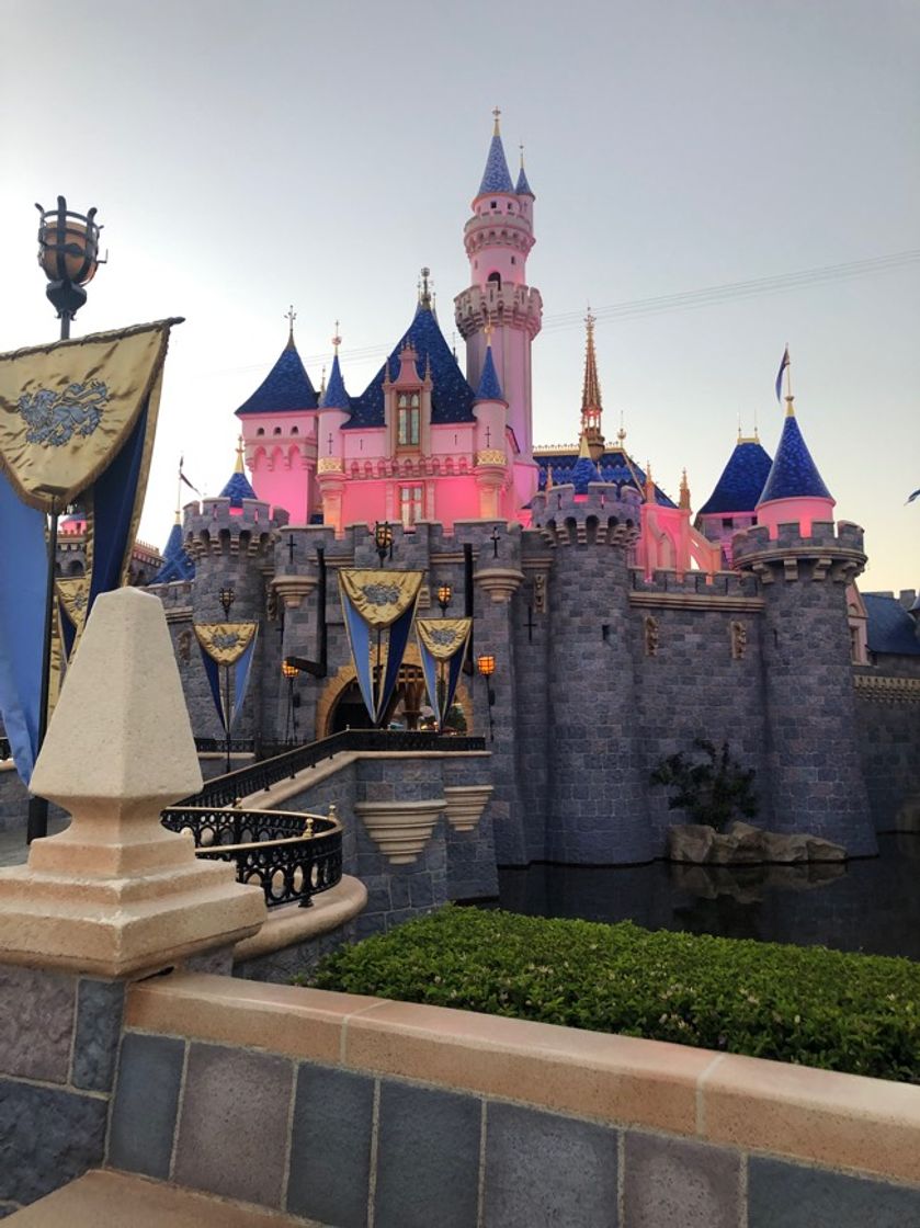Place Disneyland