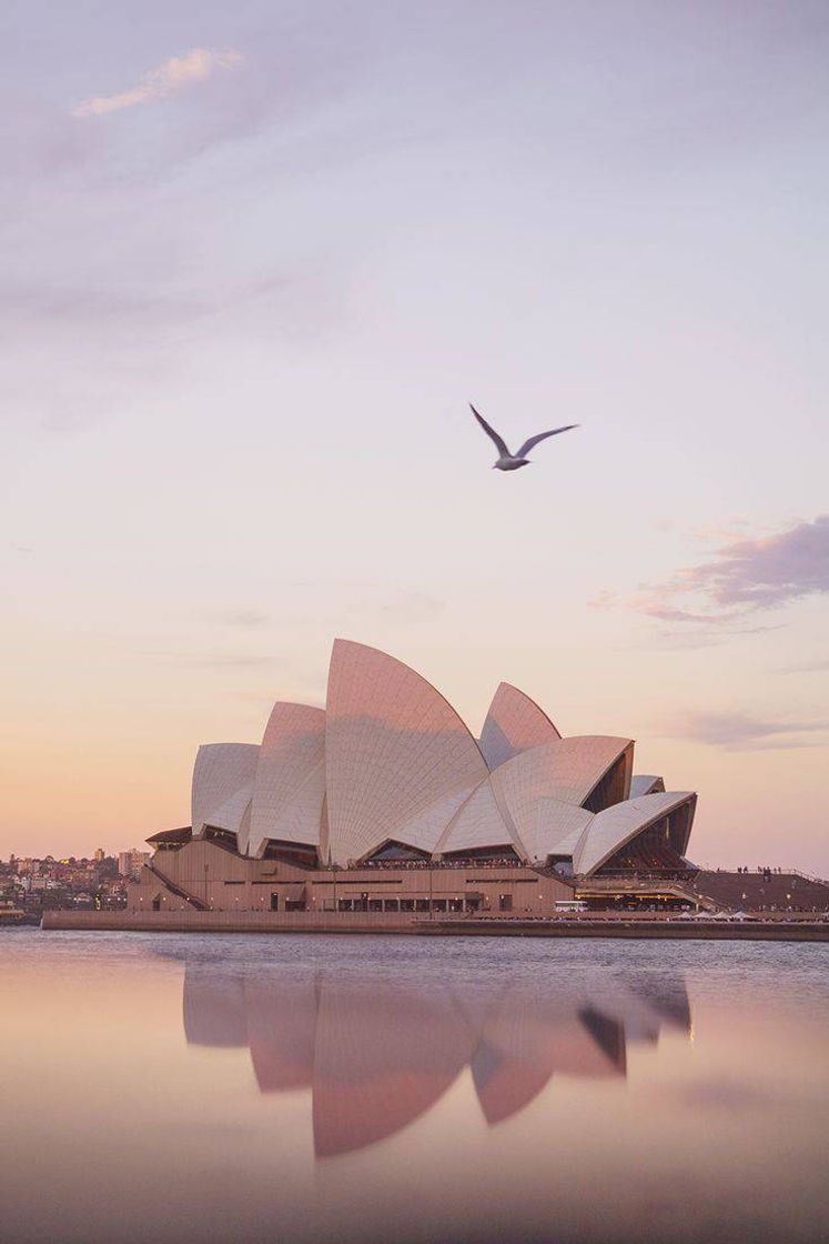 Fashion Sydney- Austrália 💙