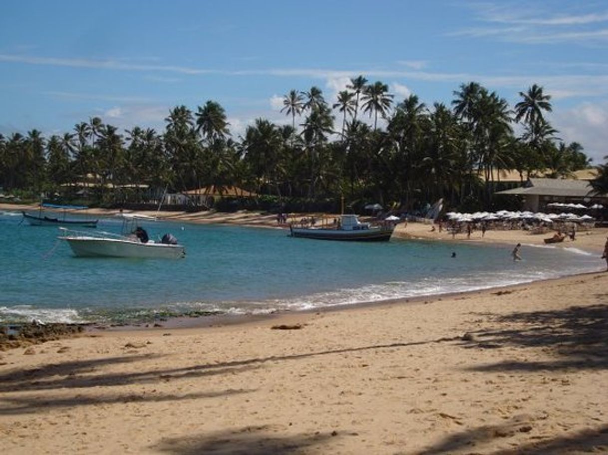 Place Praia do Forte Bahia