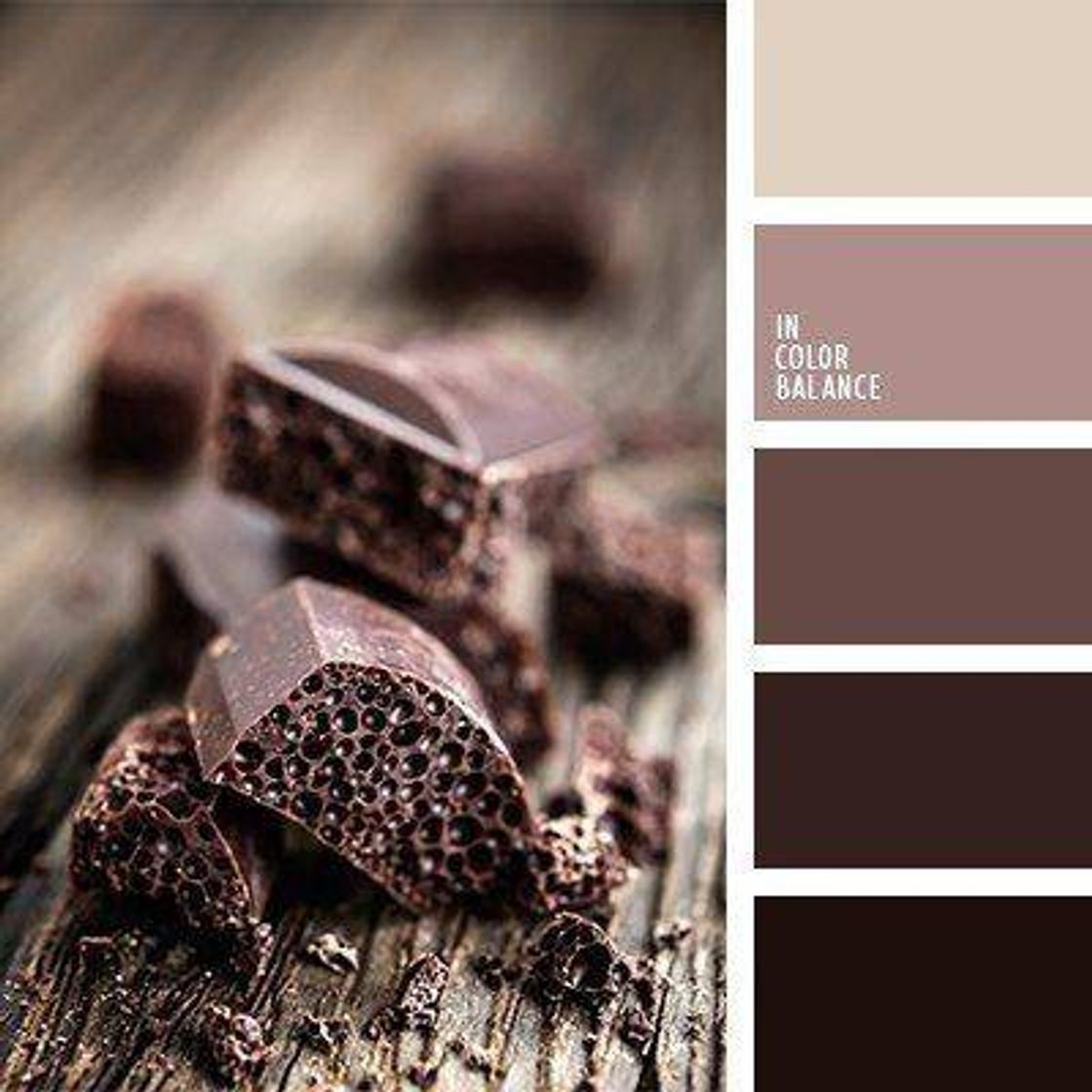 Moda Chocolate