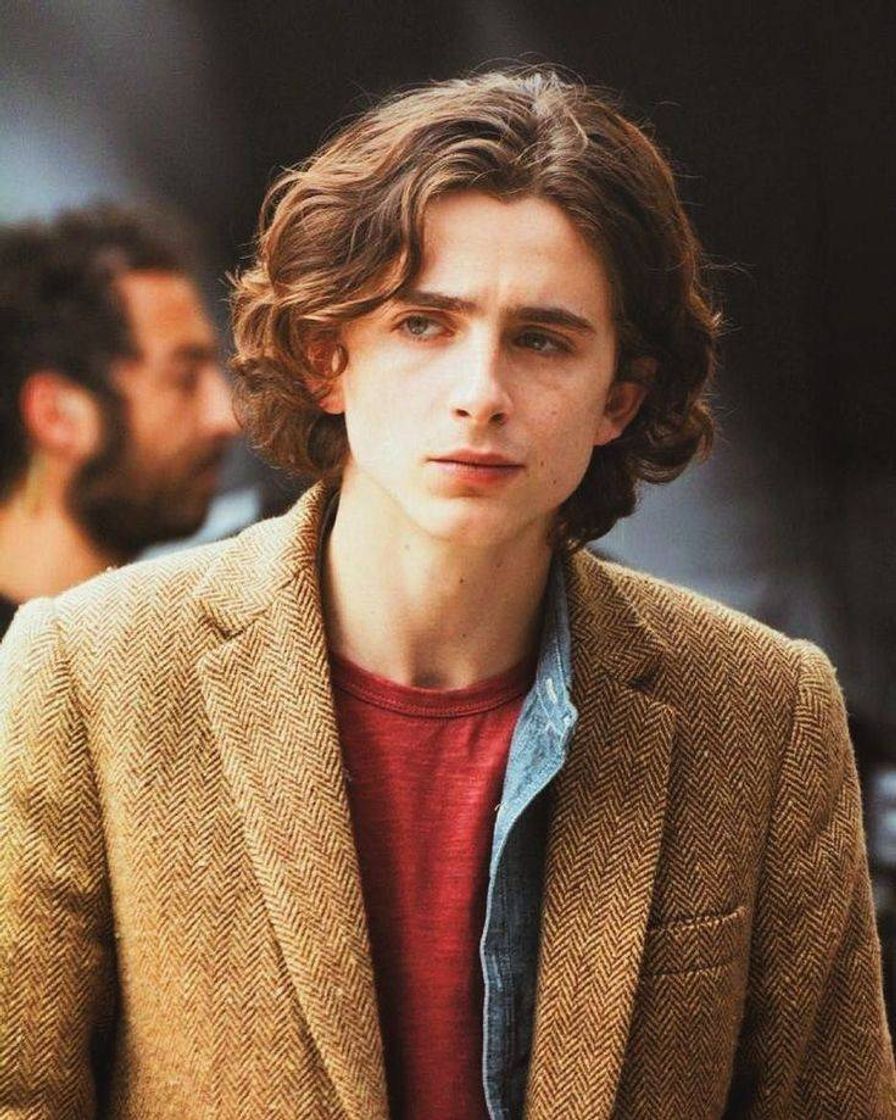 Moda Timothée Chalamet ⚡