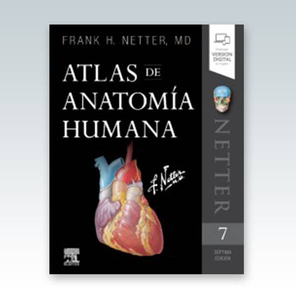 Libros Atlas de Anatomía Humana de Netter 