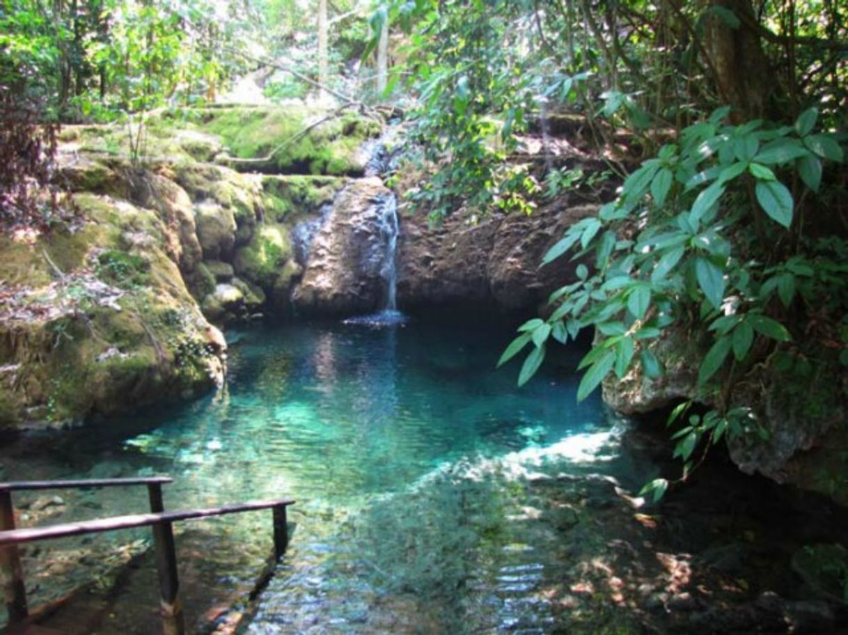 Lugar Boca da Onça Ecotour