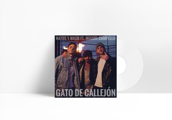 Music Gato de callejón