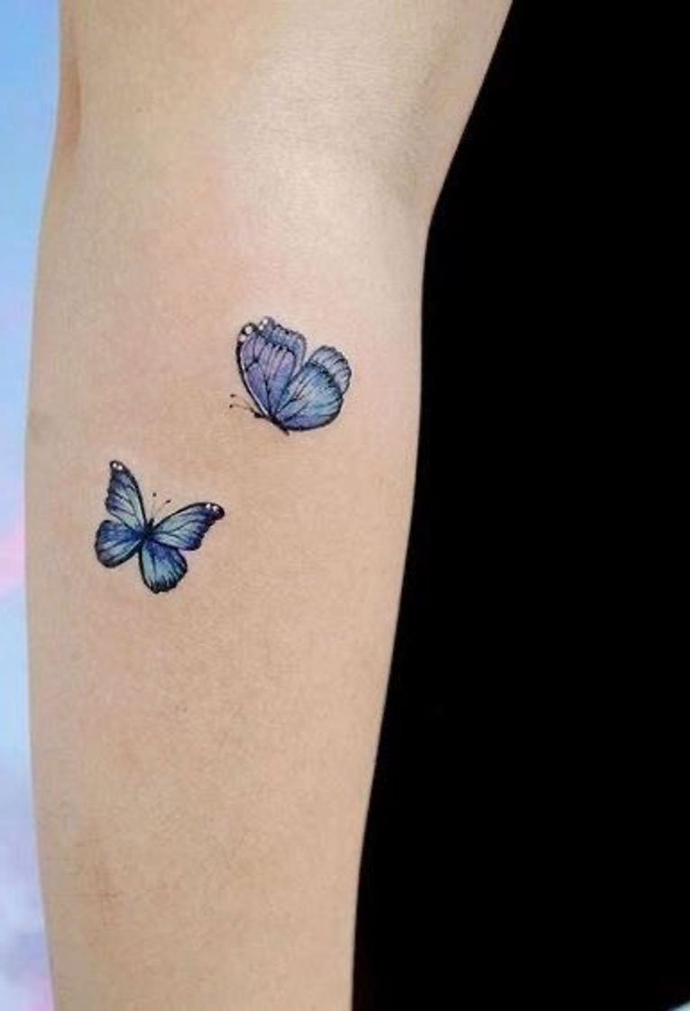 Social Tattoo de borboleta 