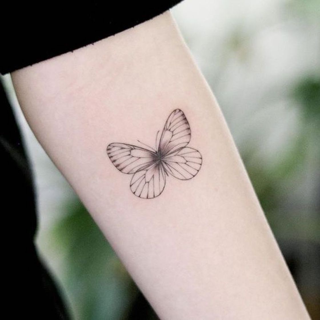 Social Tattoo de borboleta 