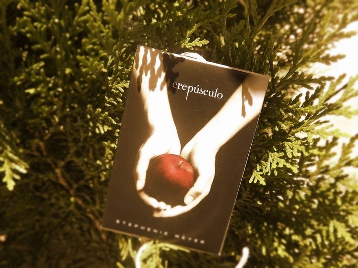 Fashion Livro crepúsculo 