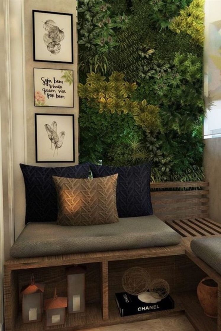 Moda 2 em 1 jardim vertical e decoração.  🥰