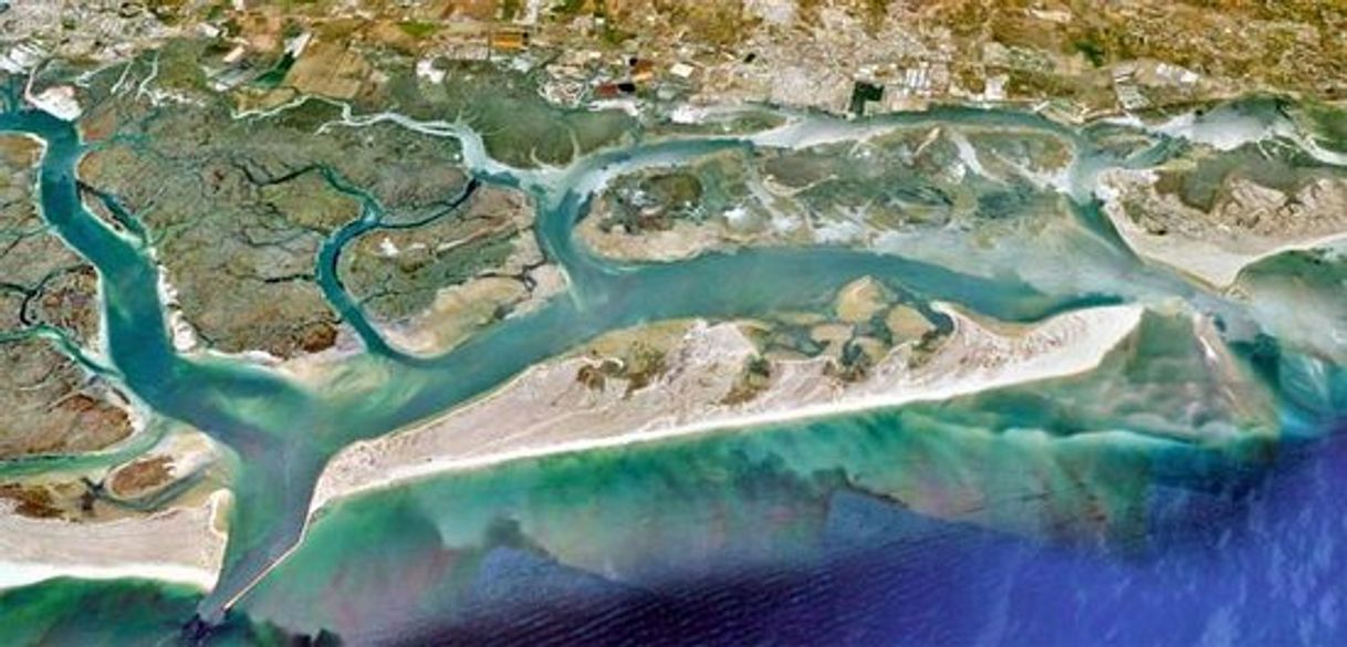 Place Ria Formosa Natural Park