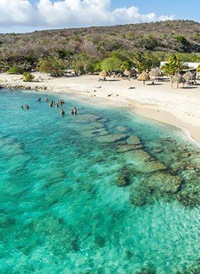 Moda curaçao beach ⛱️