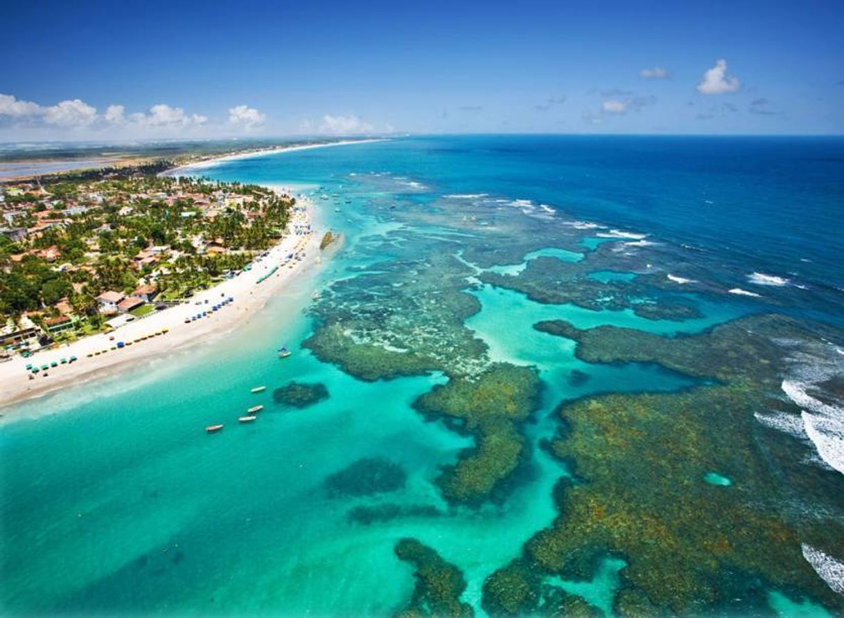 Restaurantes Praia De Galinhas