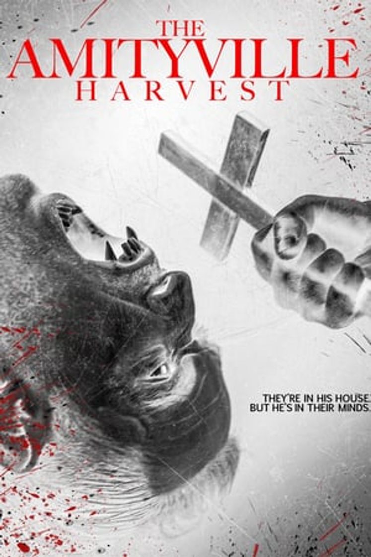 Película The Amityville Harvest