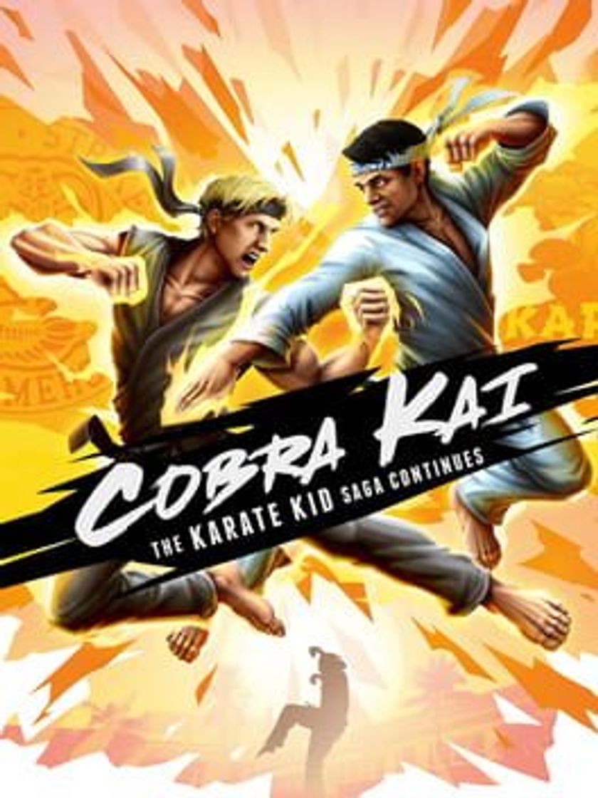 Videogames Cobra Kai: The Karate Kid Saga Continues