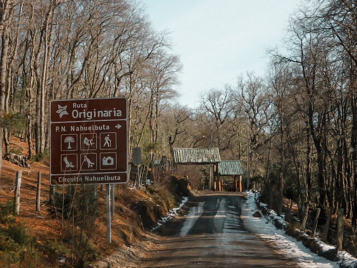 Lugar Parque Nacional Nahuelbuta