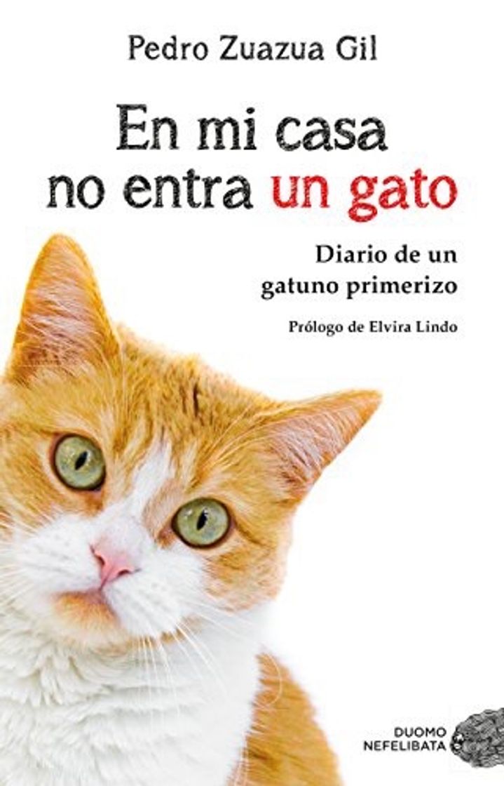 Libro En mi casa no entra un gato - Pedro Zuazua 