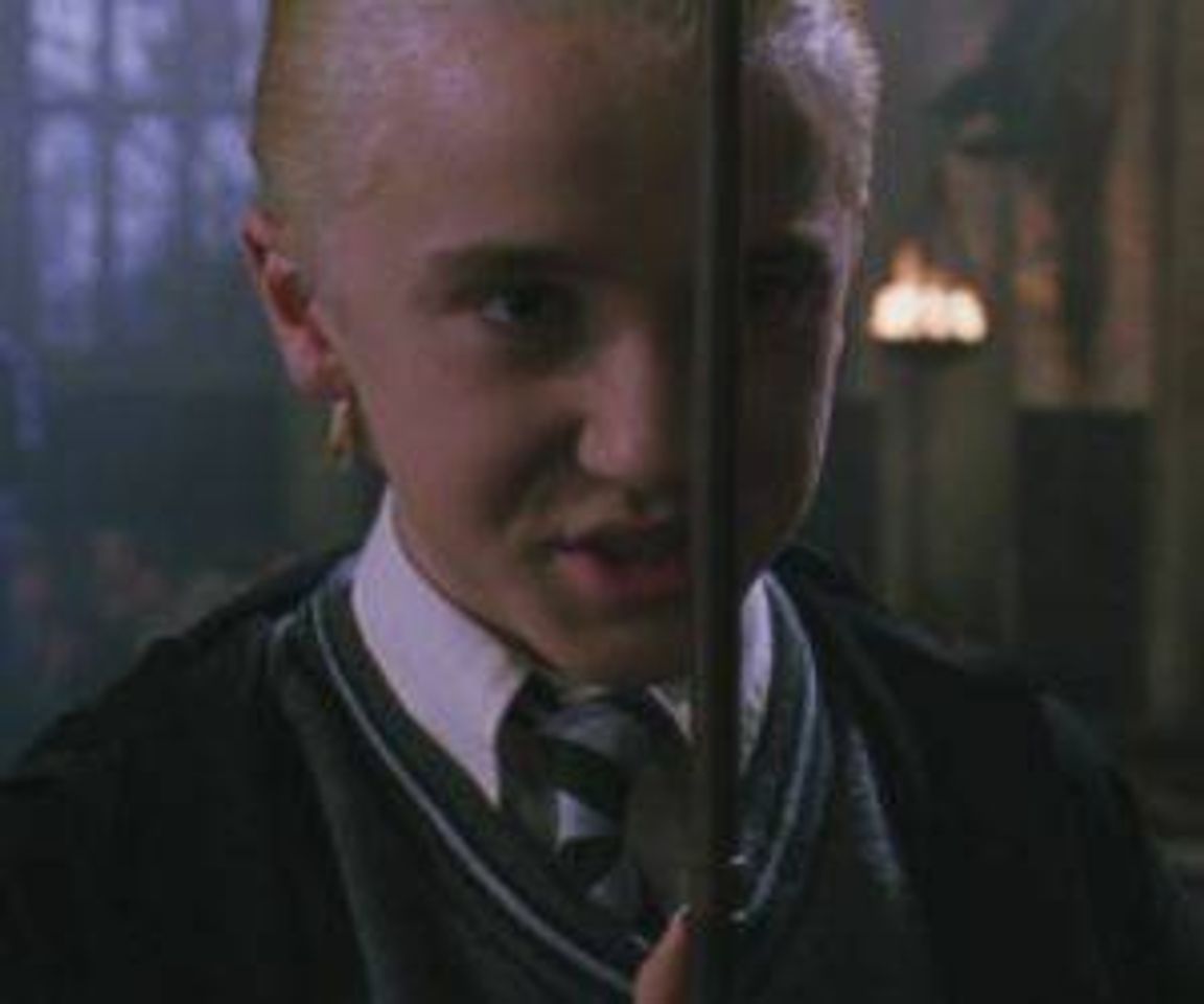 Fashion Metadinha do harry e draco