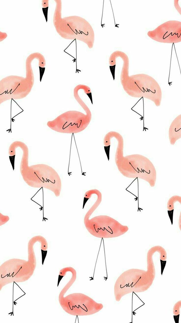 Moda Flamingos 💗