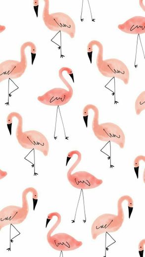 Flamingos 💗