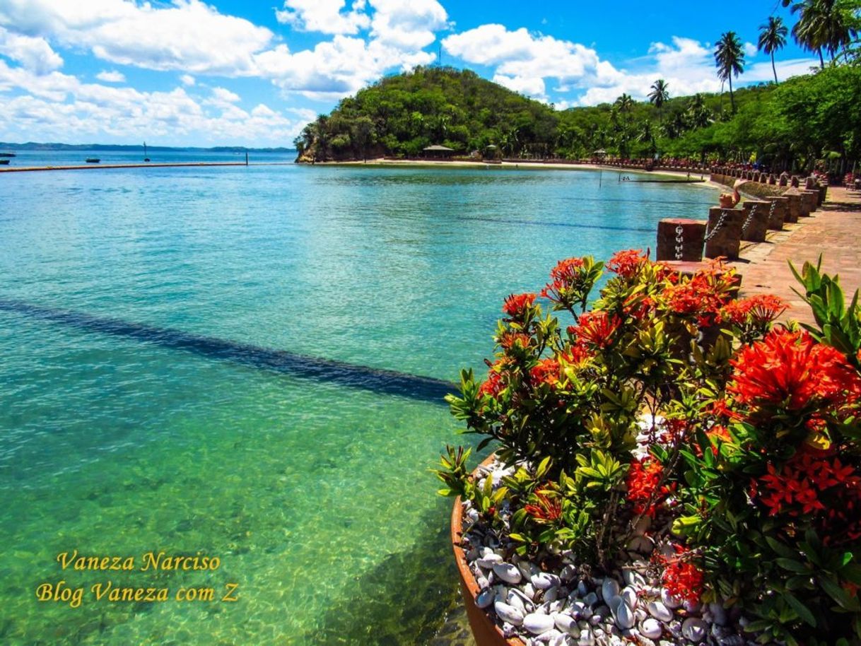 Lugar Ilha dos Frades