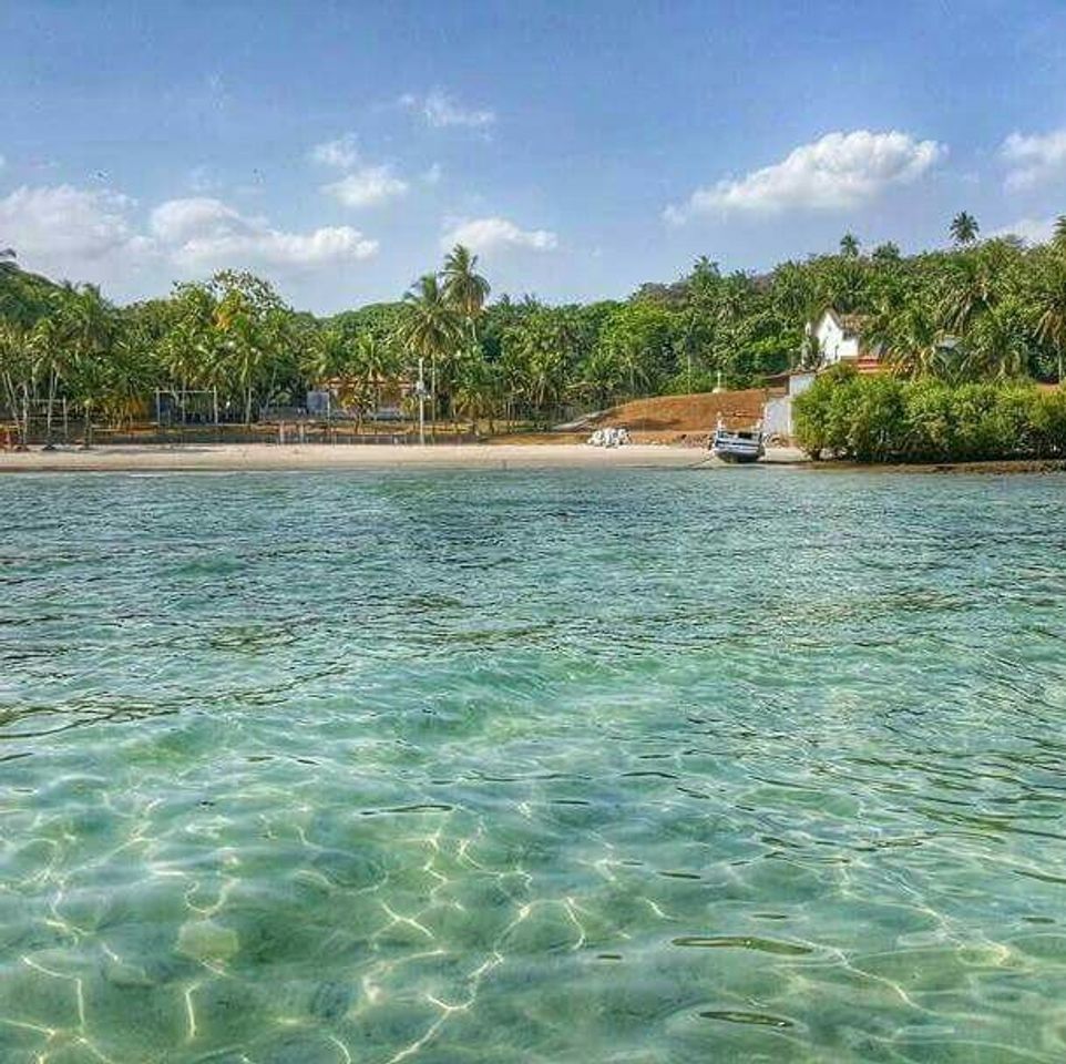 Lugar Praia Das Neves